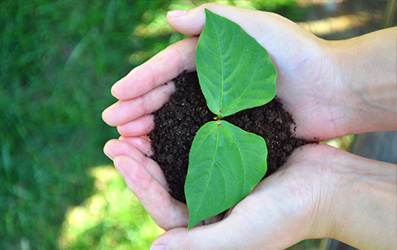 壹定发(中国游)官方网站